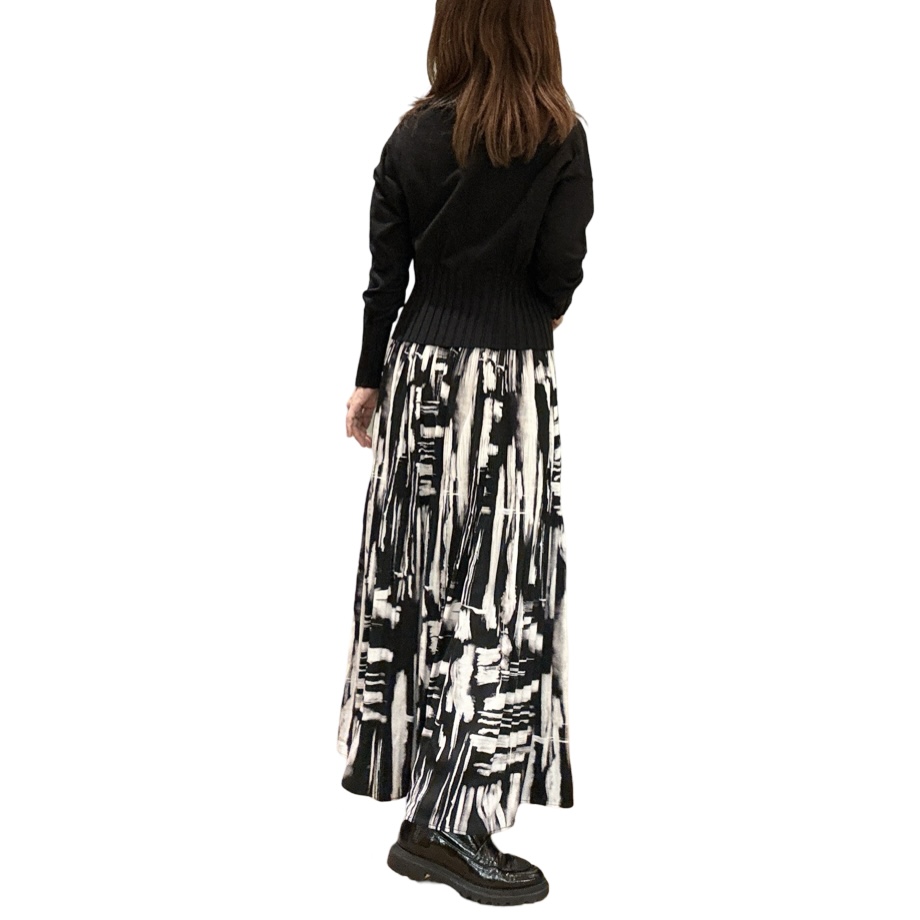 スカート - 画像 (4)